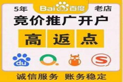 竞价代运营实战案例深度剖析